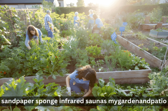 sandpaper sponge infrared saunas mygardenandpatio