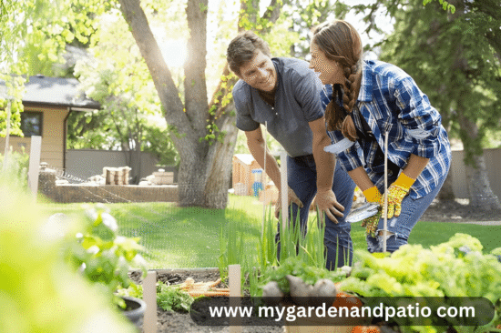 www mygardenandpatio com
