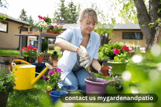 contact us mygardenandpatio
