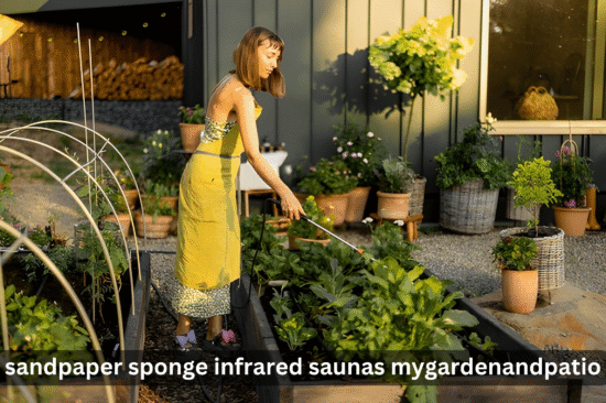 sandpaper sponge infrared saunas mygardenandpatio
