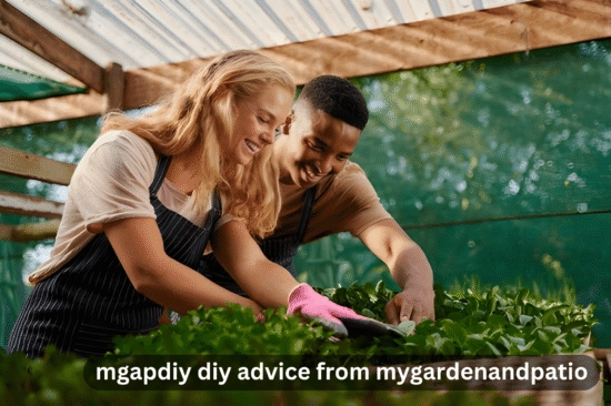 mgapdiy diy advice from mygardenandpatio