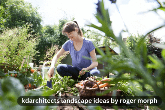 kdarchitects landscape ideas by roger morph