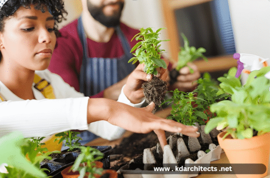 www . kdarchitects .net