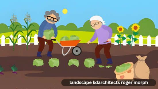 landscape kdarchitects roger morph