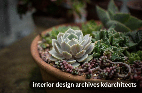 interior design archives kdarchitects