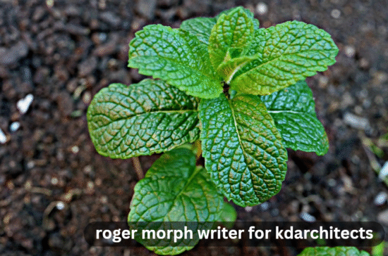 roger morph writer for kdarchitects