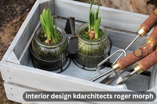 interior design kdarchitects roger morph