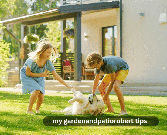 garden robertandpatio