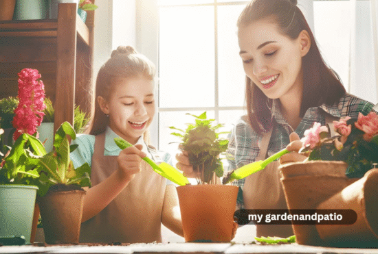 my gardenandpatio