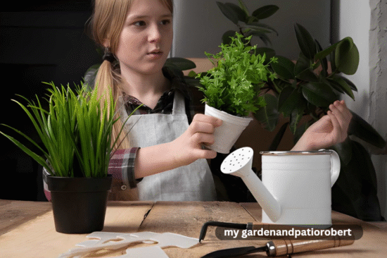 my gardenandpatiorobert