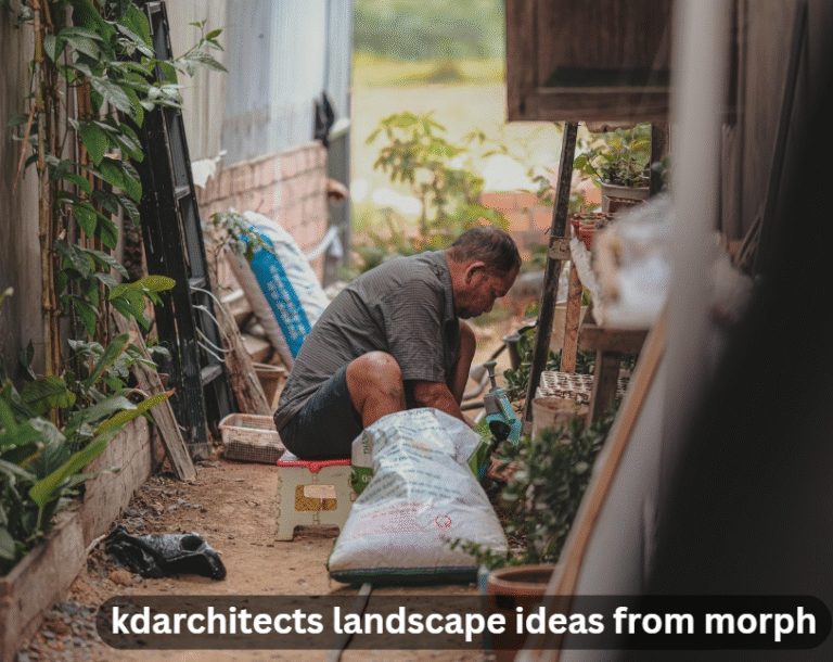 kdarchitects landscape ideas from morph