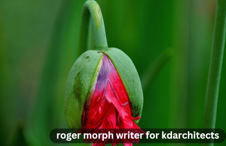 roger morph writer for kdarchitects