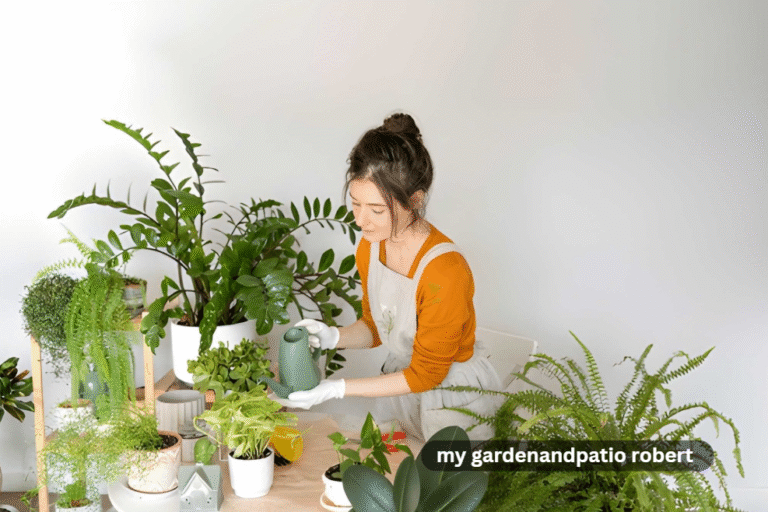 my gardenandpatio robert