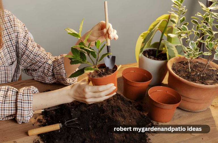 robert mygardenandpatio ideas