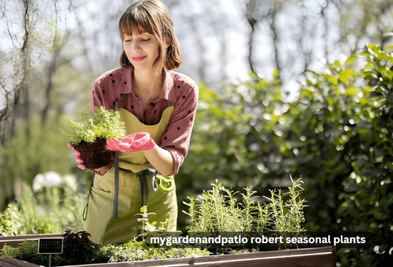 mygardenandpatio robert seasonal plants