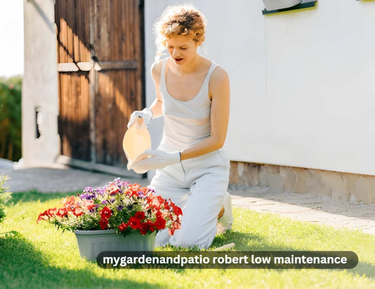 mygardenandpatio robert low maintenance