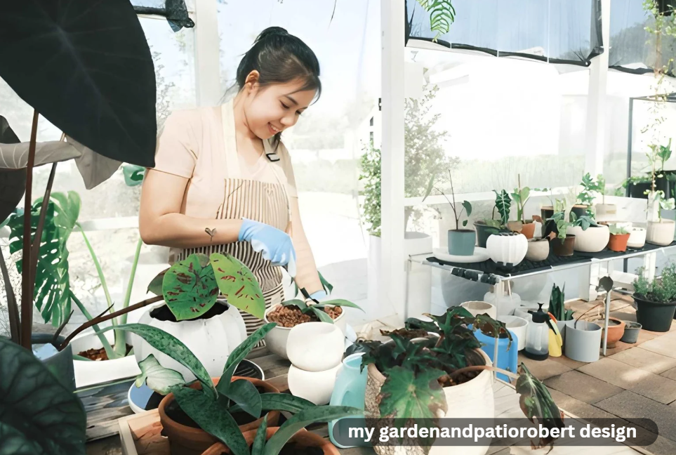 my gardenandpatiorobert design