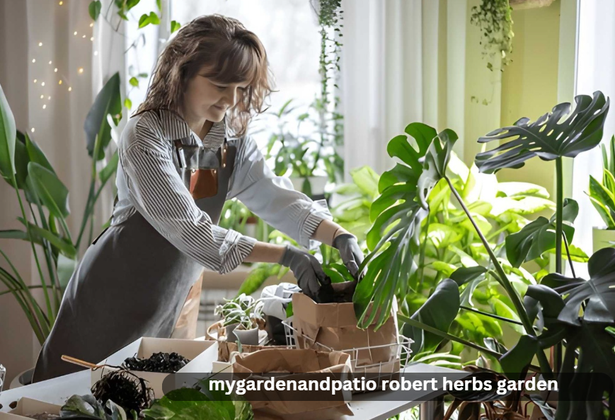 mygardenandpatio robert herbs garden