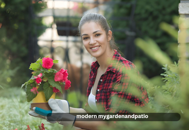 modern mygardenandpatio