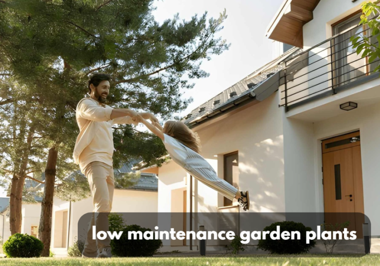 low maintenance garden plants