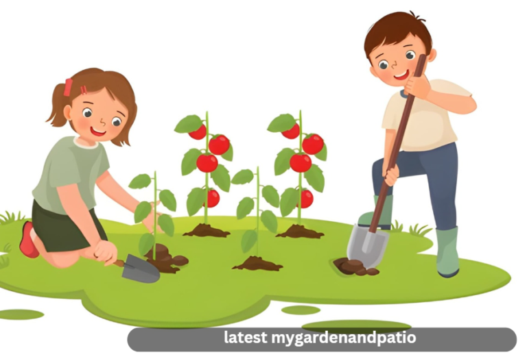 latest mygardenandpatio