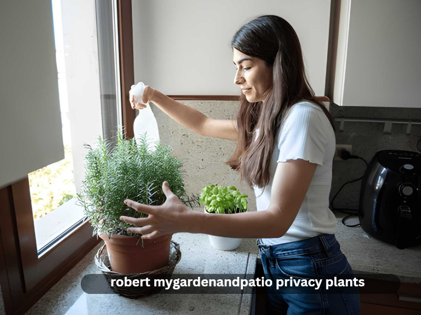 robert mygardenandpatio privacy plants