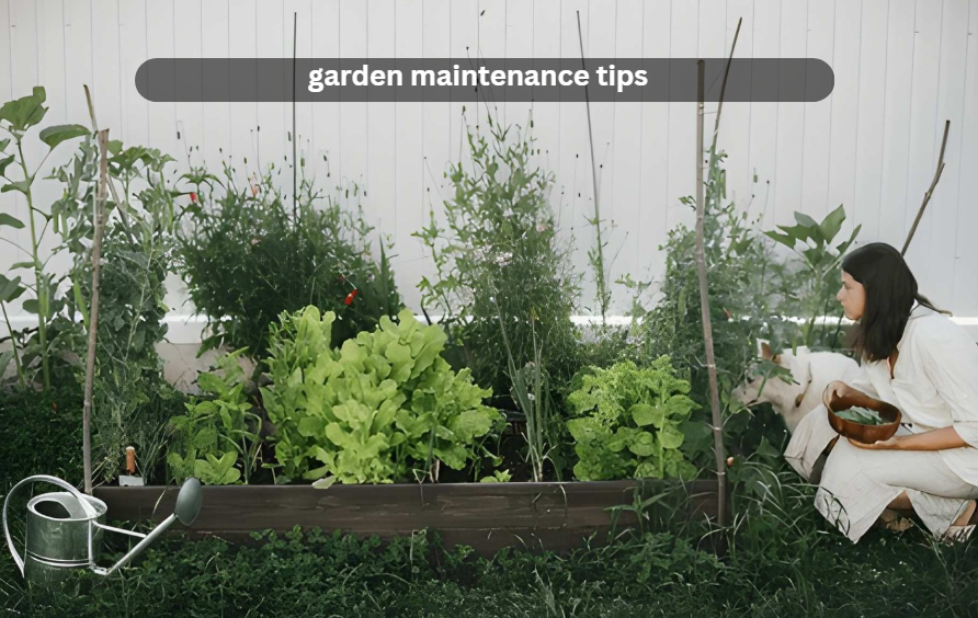 garden maintenance tips