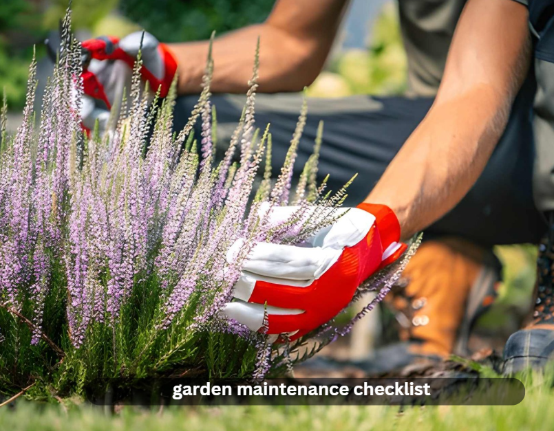 garden maintenance checklist