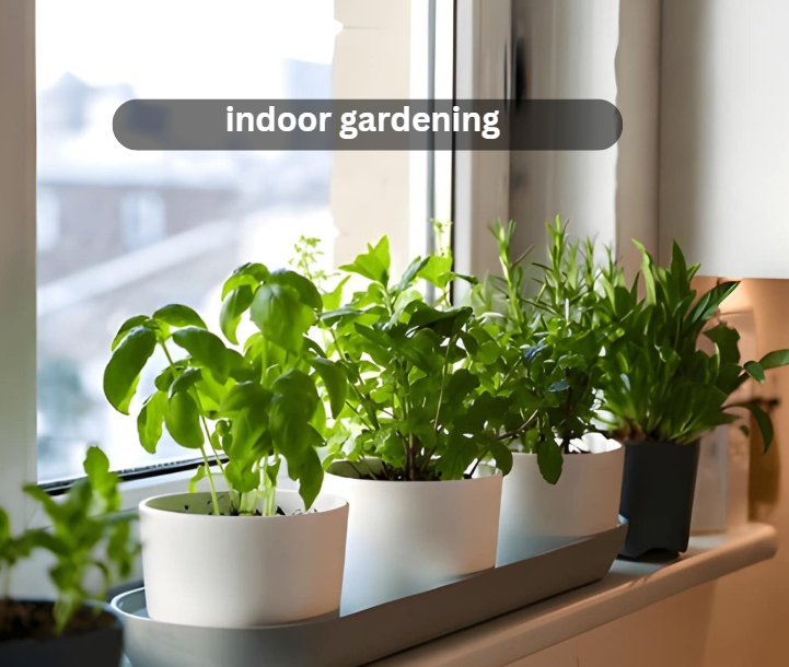 indoor gardening