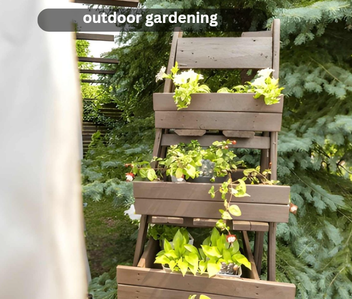 outdoor gardening