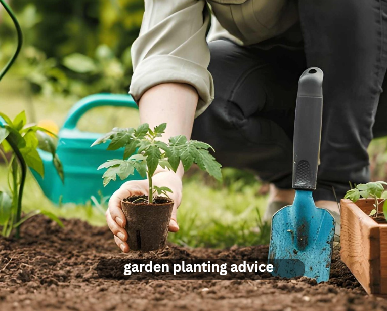 garden planting advice