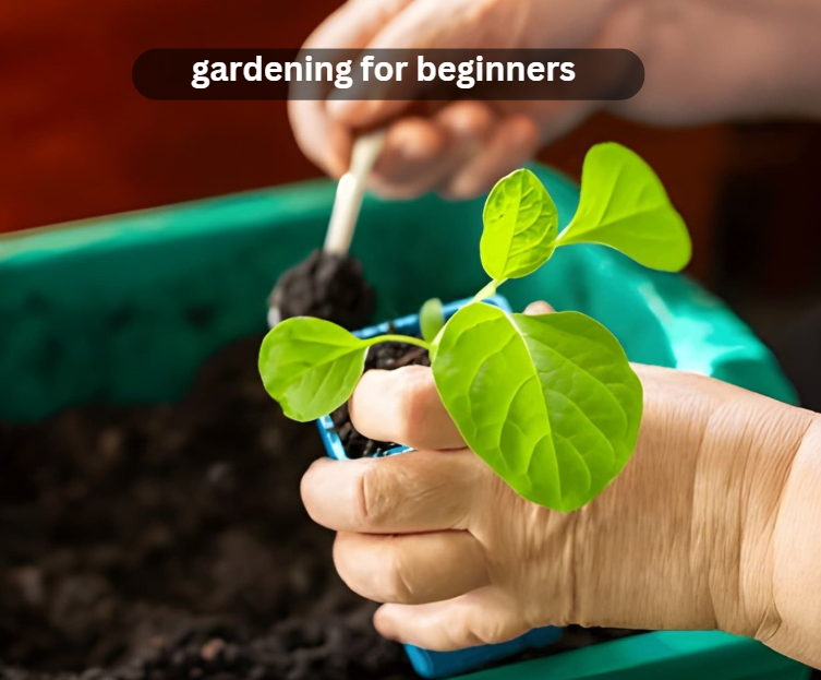 gardening for beginners